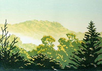 Mountain Mist 1