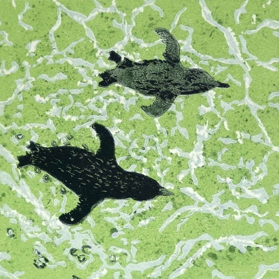 Fairy Penguins